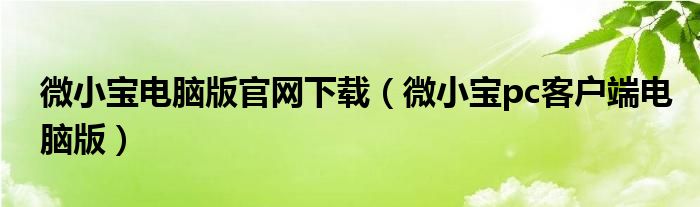 微小宝电脑版官网下载（微小宝pc客户端电脑版）