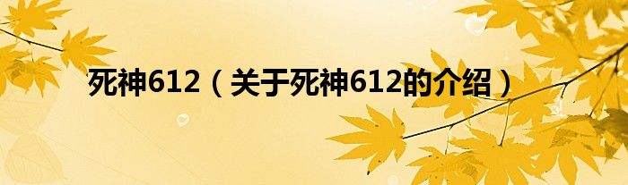 死神612（关于死神612的介绍）