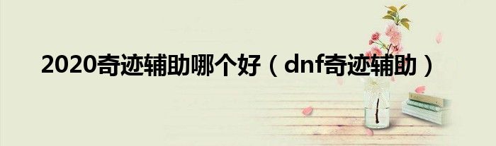 2020奇迹辅助哪个好（dnf奇迹辅助）