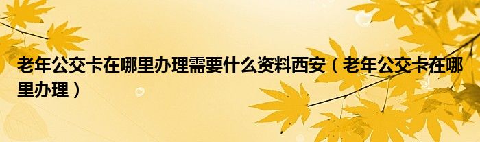 老年公交卡在哪里办理需要什么资料西安（老年公交卡在哪里办理）