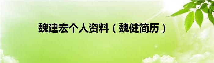 魏建宏个人资料（魏健简历）