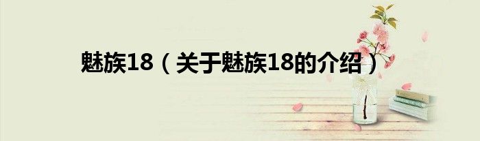 魅族18（关于魅族18的介绍）