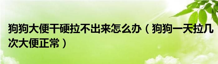 狗狗大便干硬拉不出来怎么办（狗狗一天拉几次大便正常）