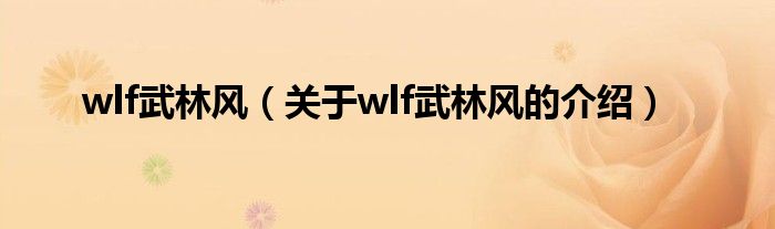 wlf武林风（关于wlf武林风的介绍）