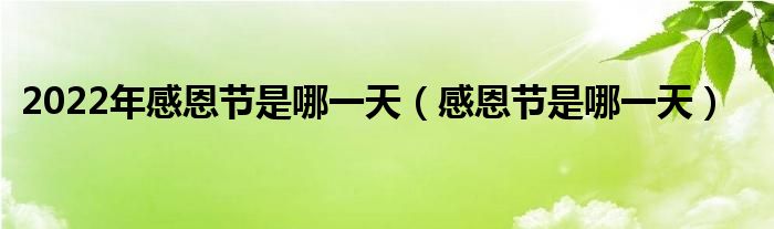 2022年感恩节是哪一天（感恩节是哪一天）