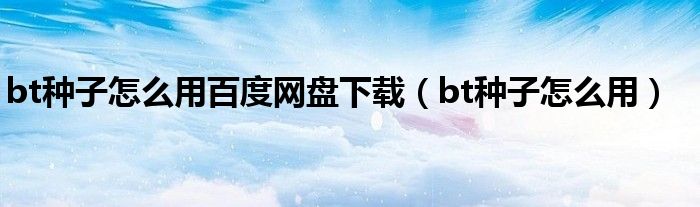 bt种子怎么用百度网盘下载（bt种子怎么用）