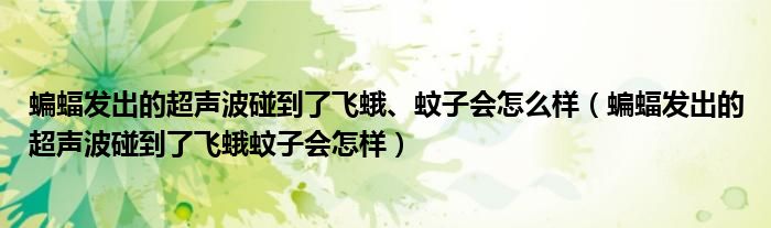 蝙蝠发出的超声波碰到了飞蛾、蚊子会怎么样（蝙蝠发出的超声波碰到了飞蛾蚊子会怎样）