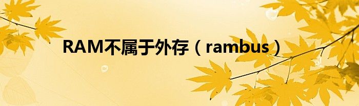 RAM不属于外存（rambus）