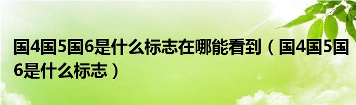 国4国5国6是什么标志在哪能看到（国4国5国6是什么标志）