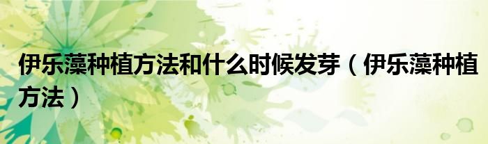 伊乐藻种植方法和什么时候发芽（伊乐藻种植方法）