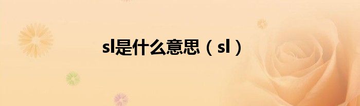 sl是什么意思（sl）