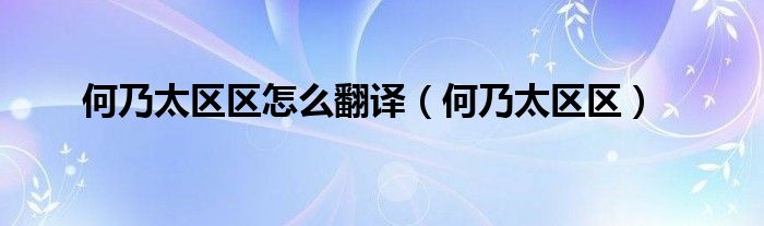 何乃太区区怎么翻译（何乃太区区）