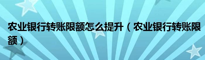 农业银行转账限额怎么提升（农业银行转账限额）