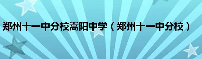 郑州十一中分校嵩阳中学（郑州十一中分校）