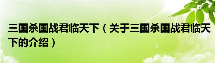 三国杀国战君临天下（关于三国杀国战君临天下的介绍）