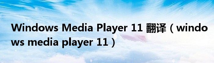 Windows Media Player 11 翻译（windows media player 11）