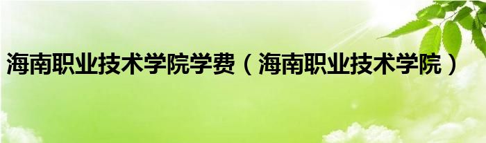 海南职业技术学院学费（海南职业技术学院）