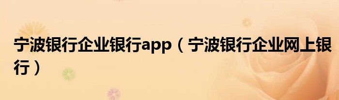 宁波银行企业银行app（宁波银行企业网上银行）