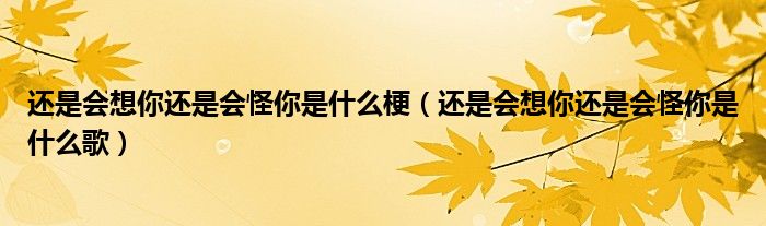 还是会想你还是会怪你是什么梗（还是会想你还是会怪你是什么歌）