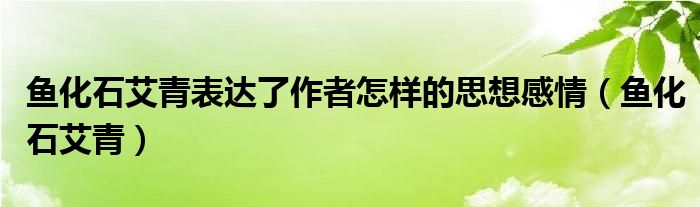 鱼化石艾青表达了作者怎样的思想感情（鱼化石艾青）