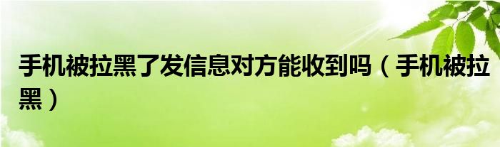 手机被拉黑了发信息对方能收到吗（手机被拉黑）