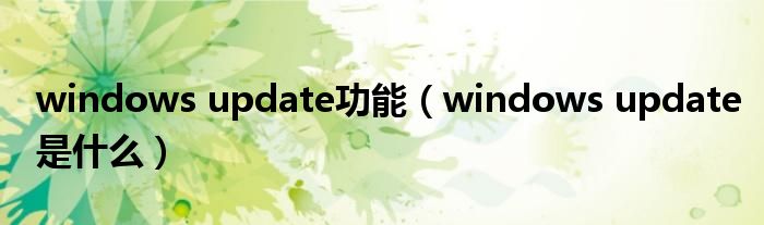 windows update功能（windows update是什么）