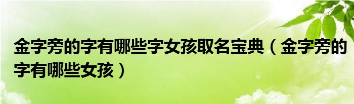 金字旁的字有哪些字女孩取名宝典（金字旁的字有哪些女孩）