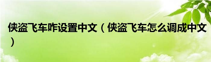 侠盗飞车咋设置中文（侠盗飞车怎么调成中文）