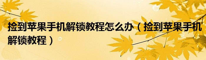 捡到苹果手机解锁教程怎么办（捡到苹果手机解锁教程）