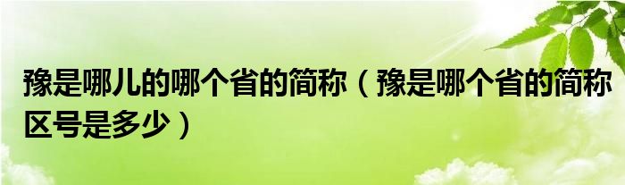 豫是哪儿的哪个省的简称（豫是哪个省的简称区号是多少）