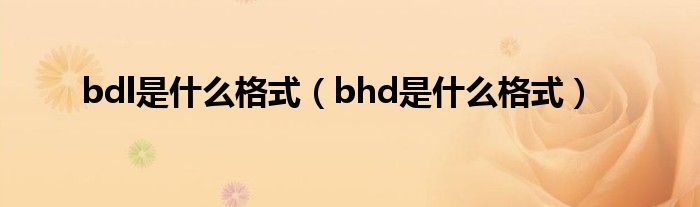 bdl是什么格式（bhd是什么格式）