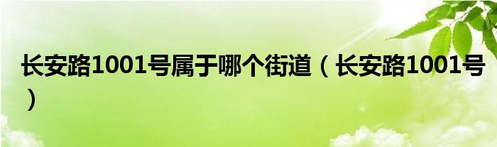 长安路1001号属于哪个街道（长安路1001号）