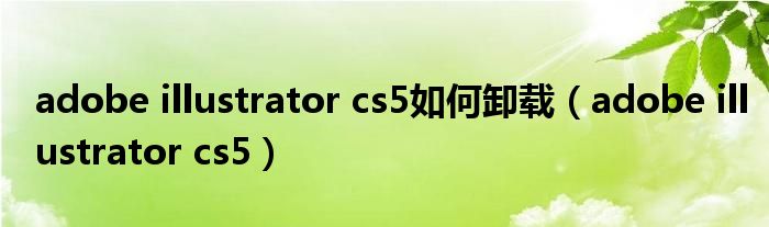 adobe illustrator cs5如何卸载（adobe illustrator cs5）