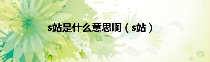 s站是什么意思啊（s站）