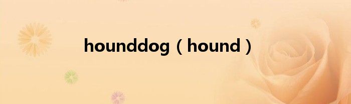 hounddog（hound）