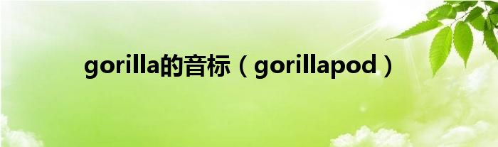 gorilla的音标（gorillapod）