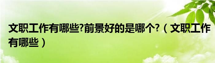 文职工作有哪些?前景好的是哪个?（文职工作有哪些）