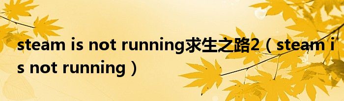 steam is not running求生之路2（steam is not running）