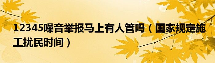 12345噪音举报马上有人管吗（国家规定施工扰民时间）