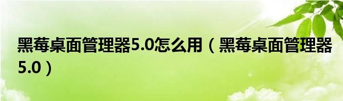 黑莓桌面管理器5.0怎么用（黑莓桌面管理器5.0）