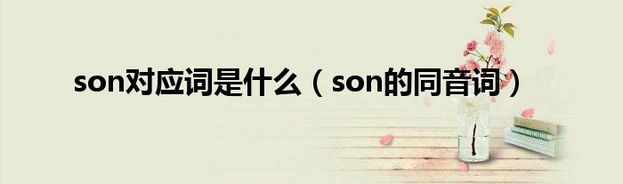 son对应词是什么（son的同音词）