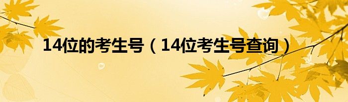 14位的考生号（14位考生号查询）