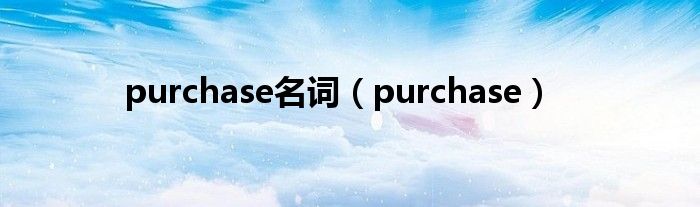 purchase名词（purchase）