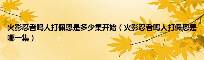 火影忍者鸣人打佩恩是多少集开始（火影忍者鸣人打佩恩是哪一集）