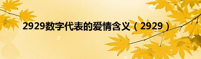 2929数字代表的爱情含义（2929）