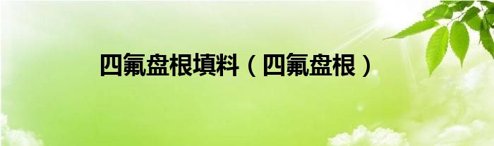 四氟盘根填料（四氟盘根）