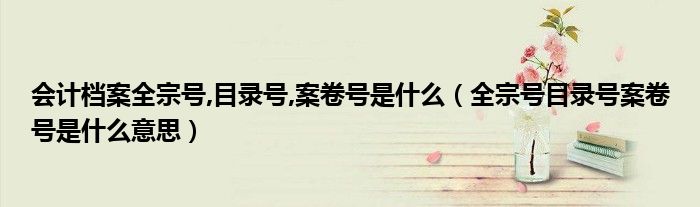 会计档案全宗号,目录号,案卷号是什么（全宗号目录号案卷号是什么意思）