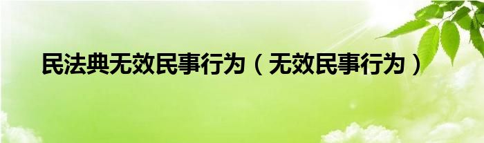 民法典无效民事行为（无效民事行为）