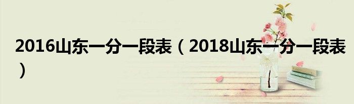 2016山东一分一段表（2018山东一分一段表）