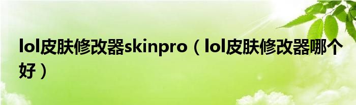 lol皮肤修改器skinpro（lol皮肤修改器哪个好）